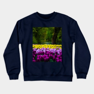 Yellow Tulips and Purple Tulips Crewneck Sweatshirt